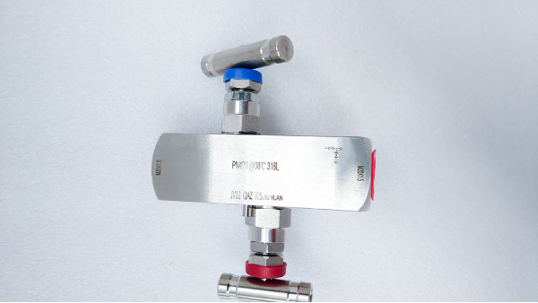 DSC_0989-PN420內(nèi)螺紋柱狀二閥組