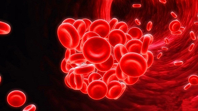 諾貝爾醫(yī)學獎